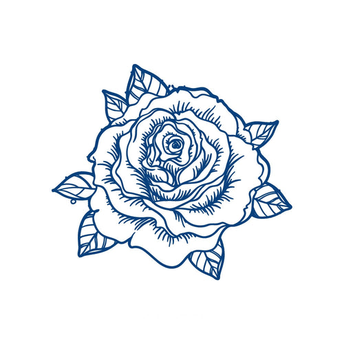 Timeless Rose