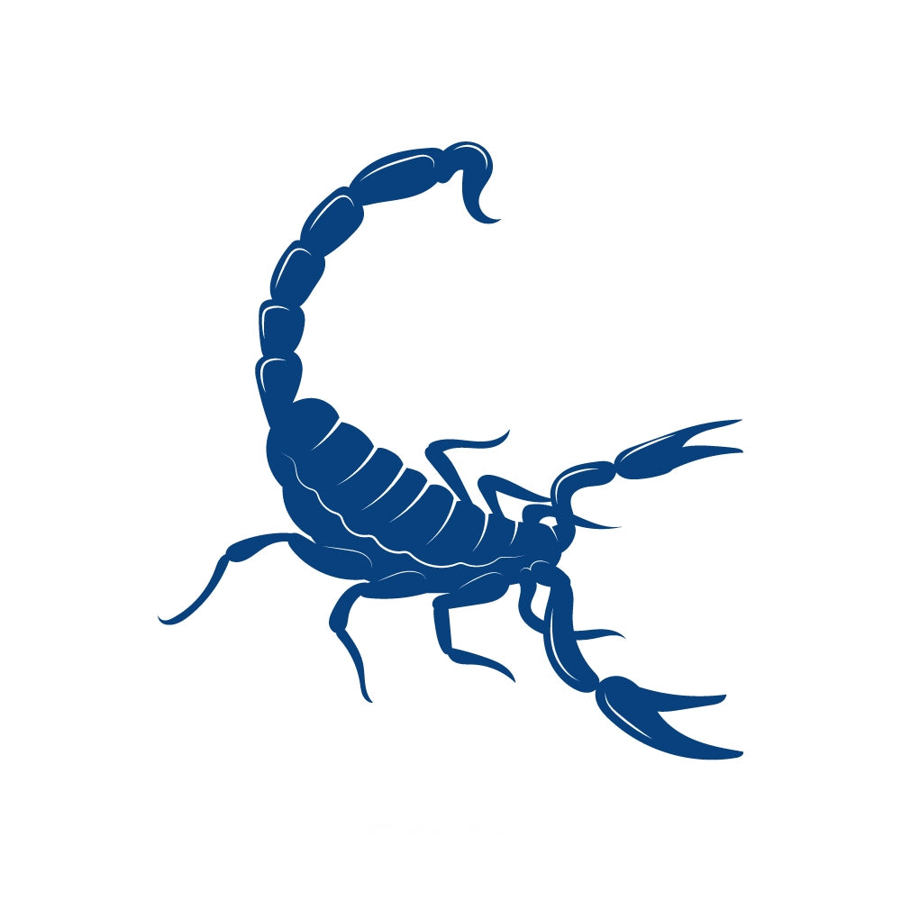 Scorpion