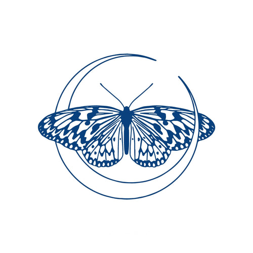 Lunar Wings