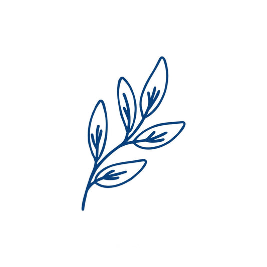 Olive Branch