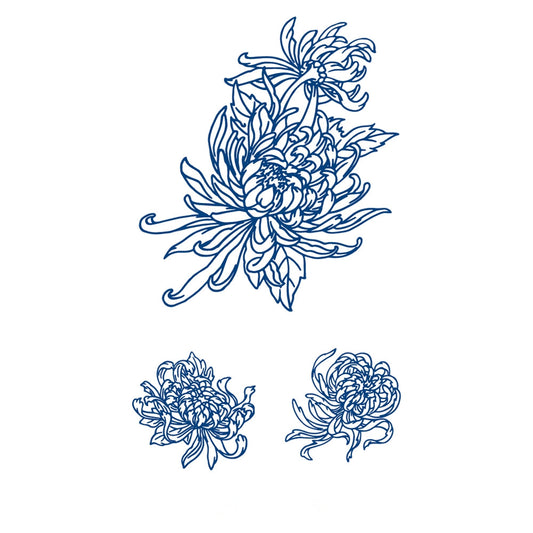 Chrysanthemum Grace