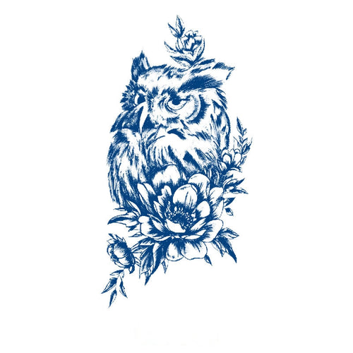 Nocturne Owl