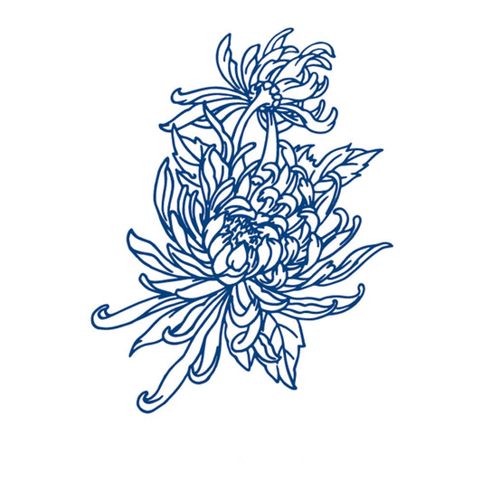 Chrysanthemum Grace