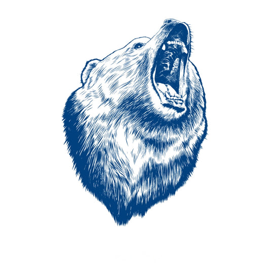 Roaring Bear