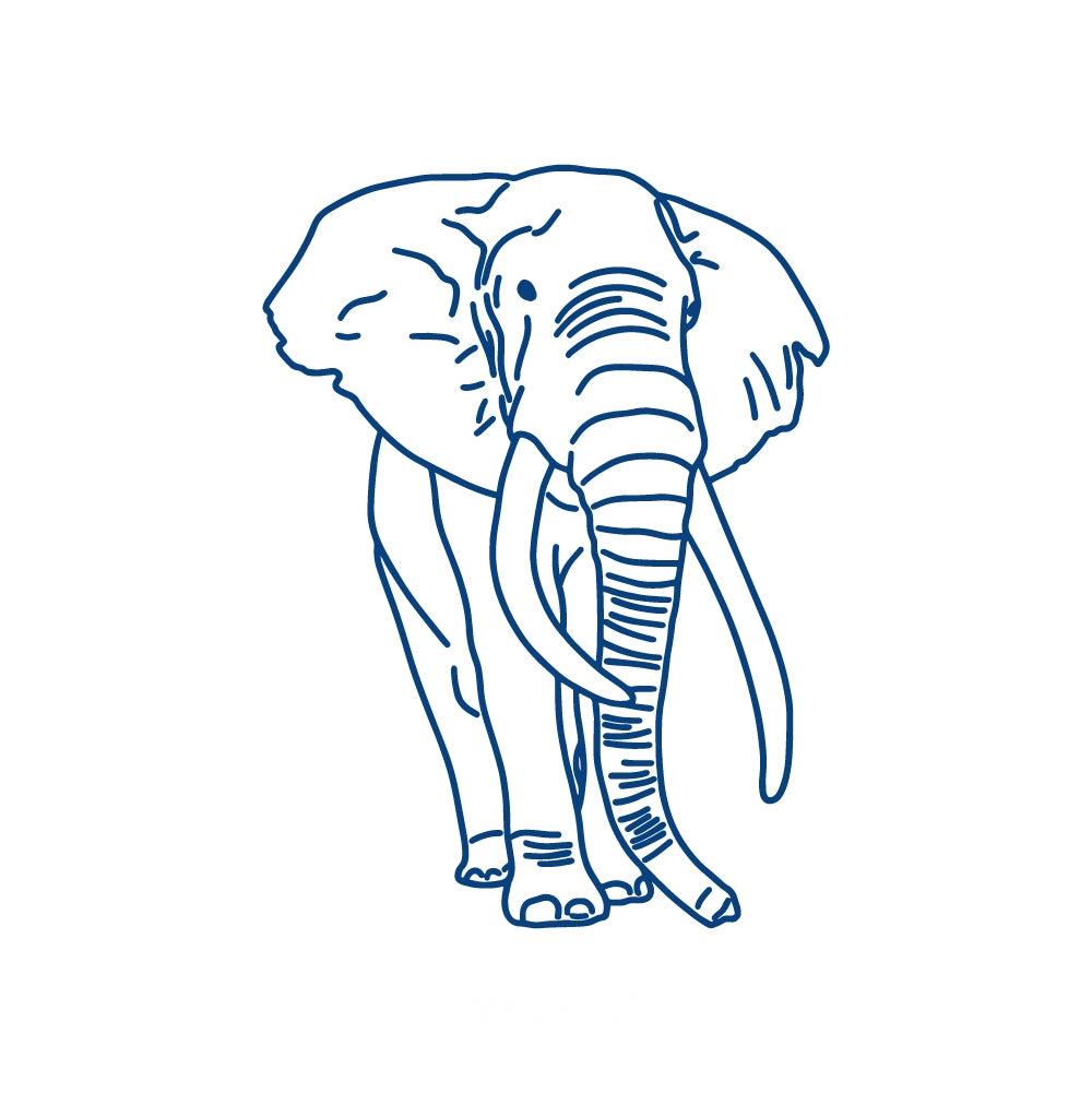 Majestic Elephant