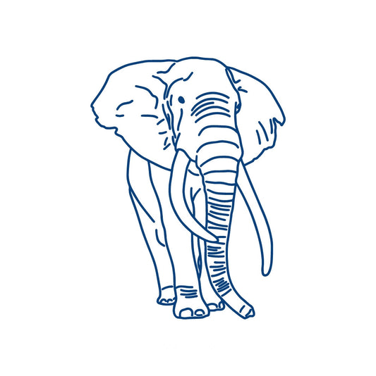 Majestic Elephant