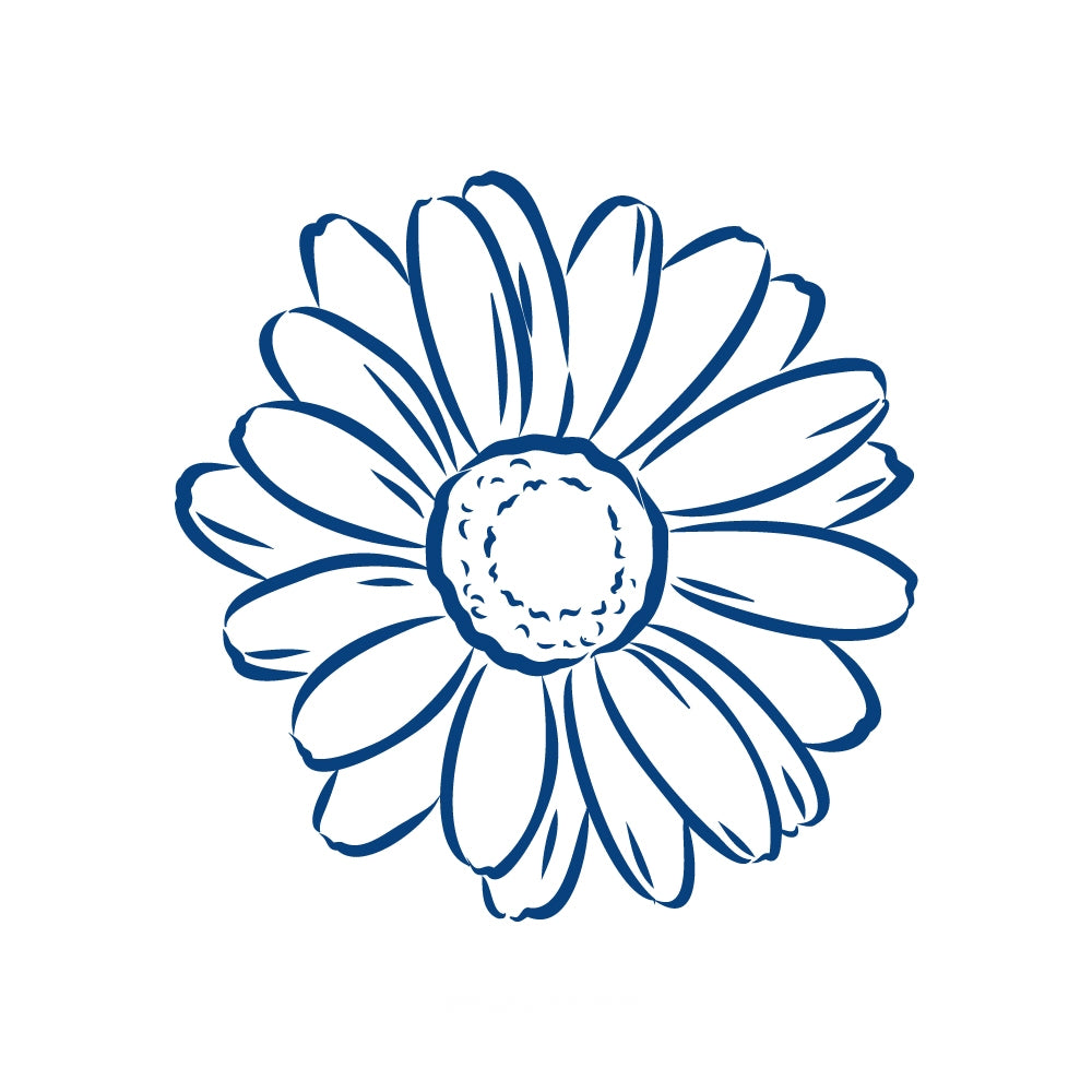 Bright Daisy
