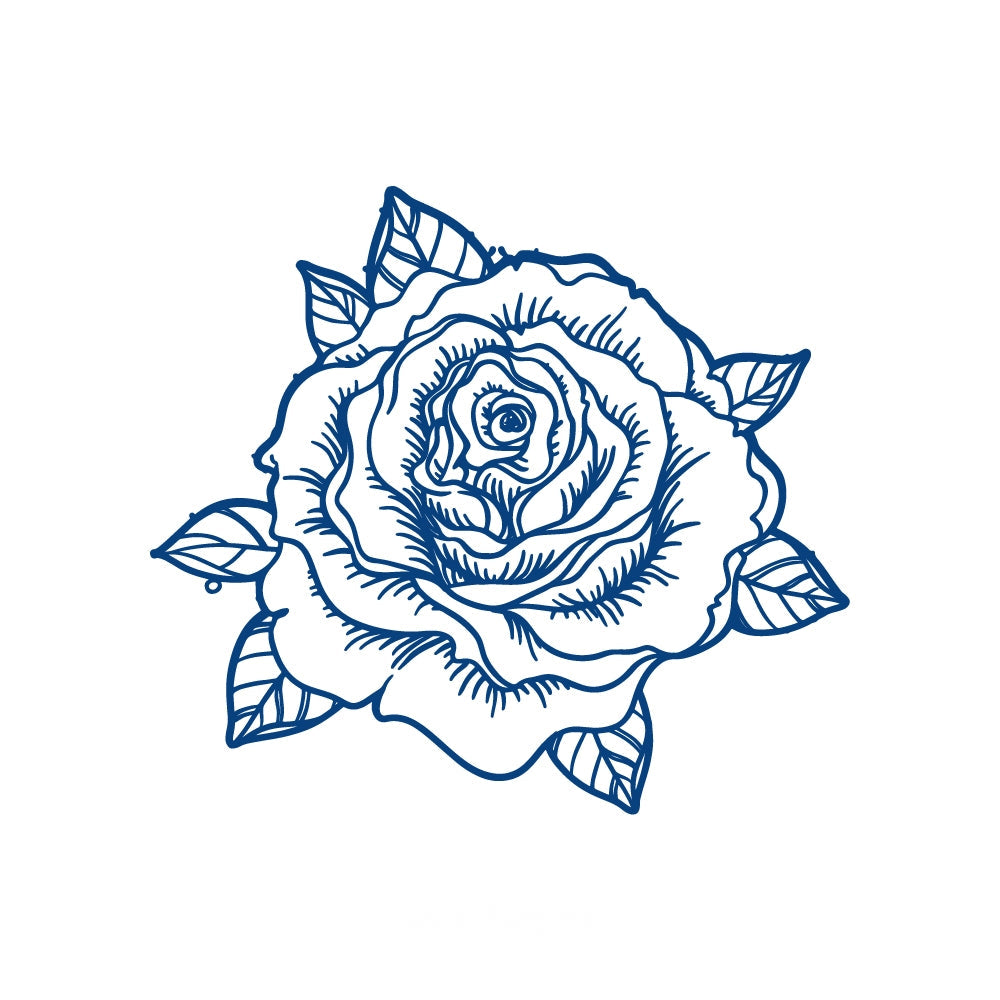 Timeless Rose