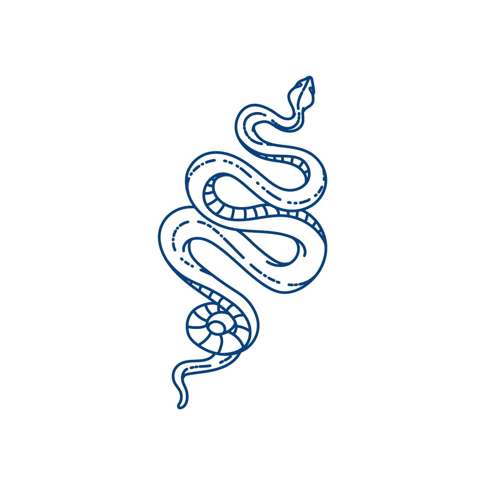 Slithery Snake