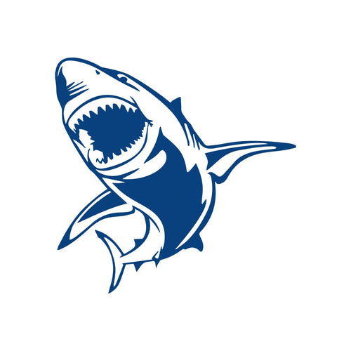 Shark