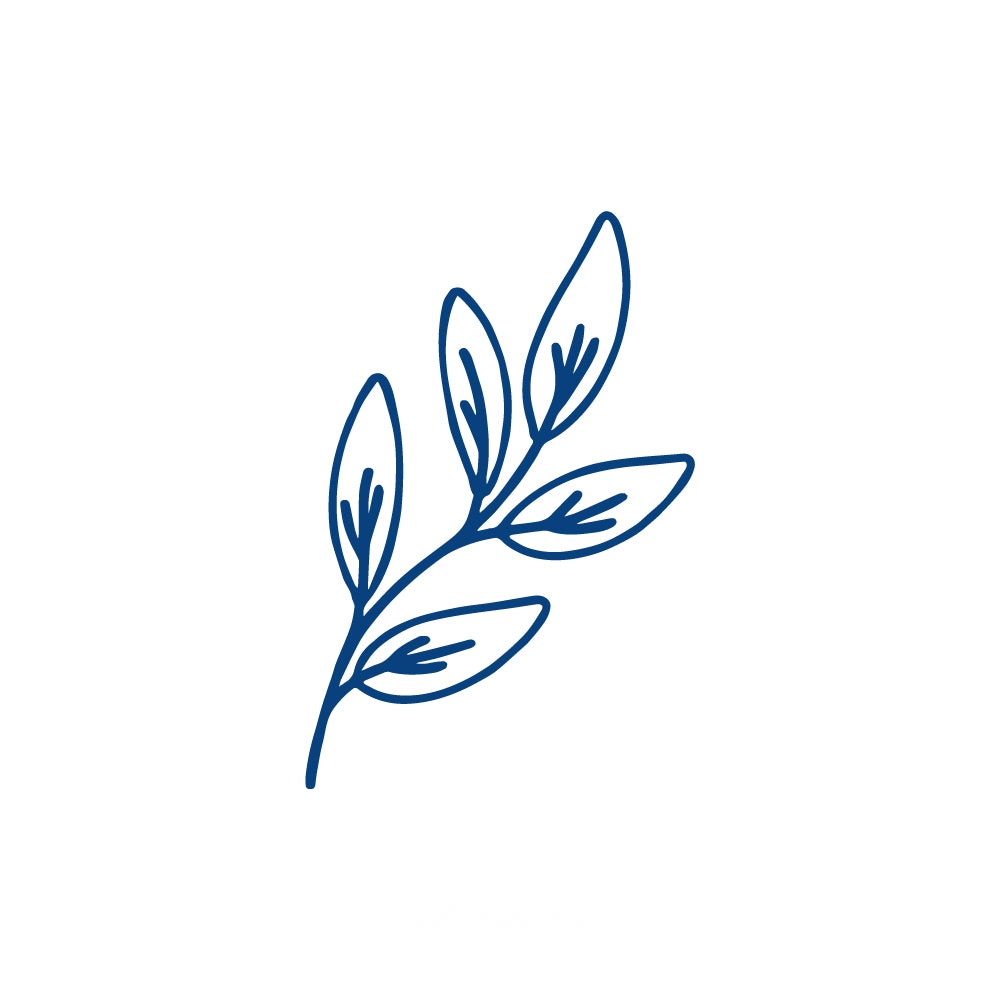 Olive Branch