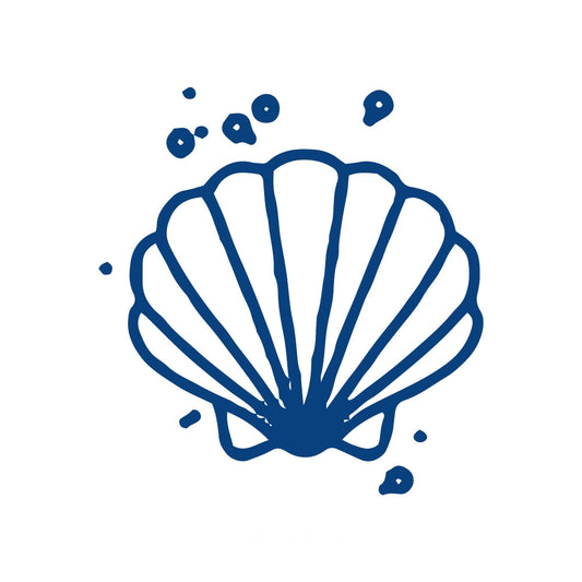 Seashell