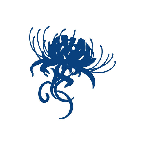 Spider Lily