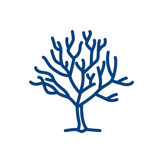 Winter Tree